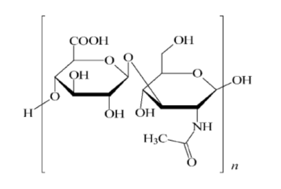 Hyaluronic Acid